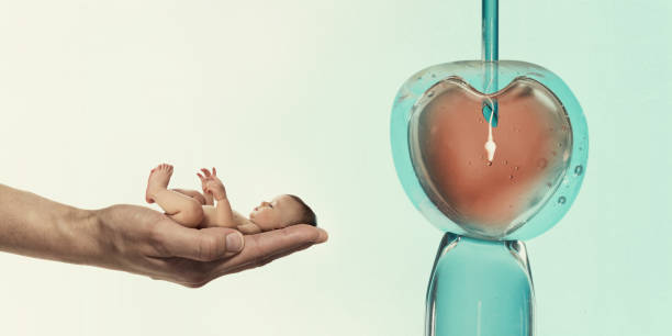 How to Make IVF Successful the First Time?