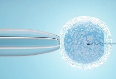 Best Gynecologist and IVF Consultant in Noida