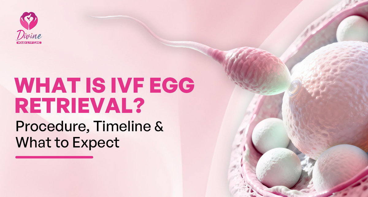 IVF egg retrieval